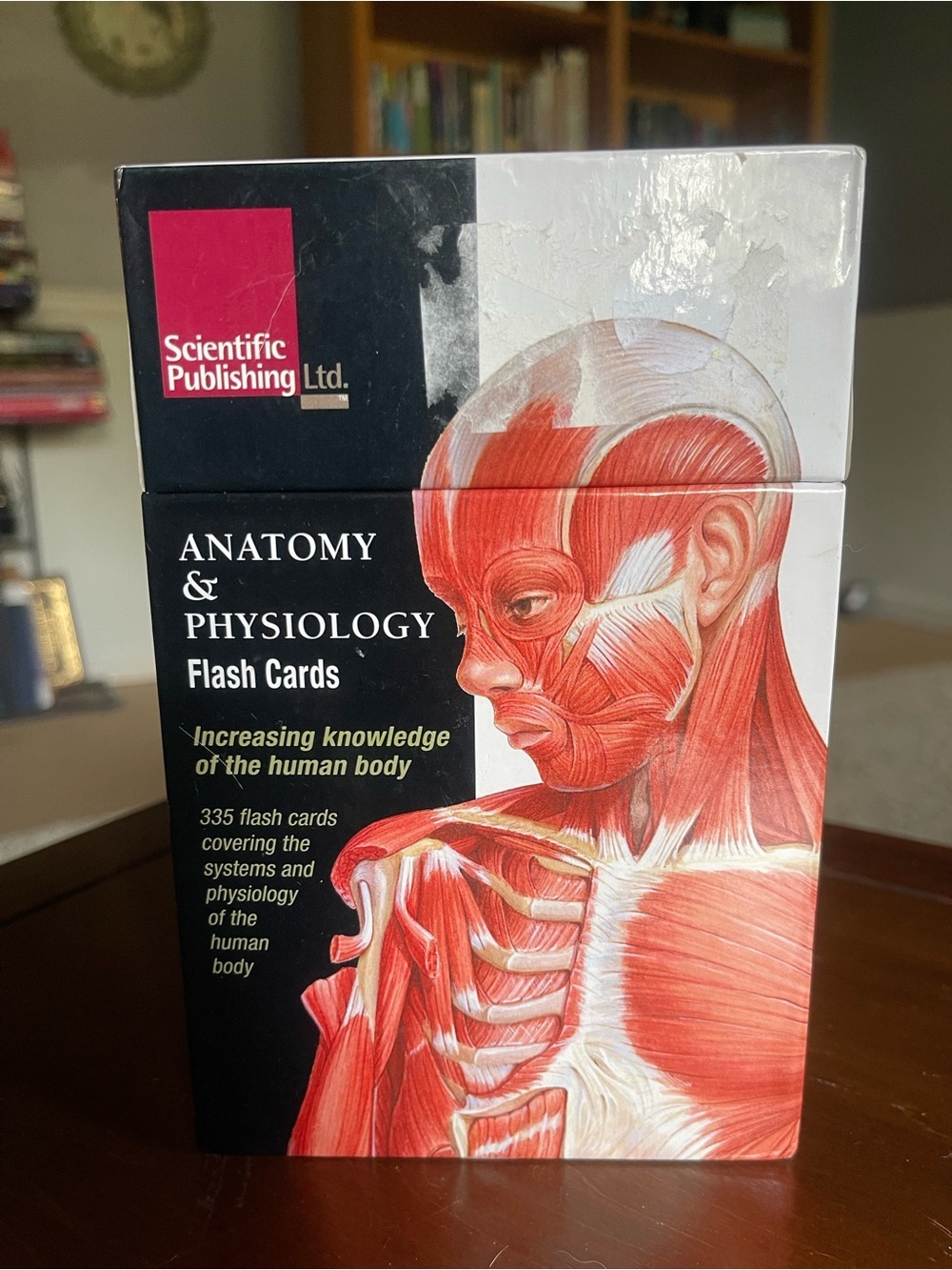 Scientific Publishing Anatomy & Physiology Flash Cards - Red
